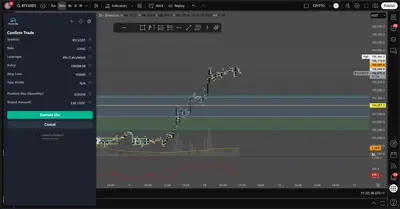 ChartBridge showing auto-calculated position details and execute trade button